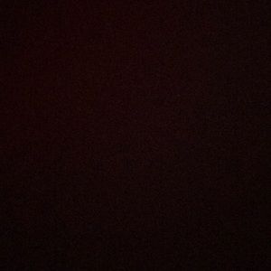 Meet your Posher, Dora